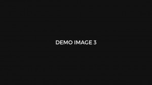 demoimage3